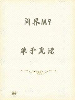 问界M9