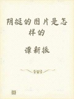 阴挺的图片是怎样的