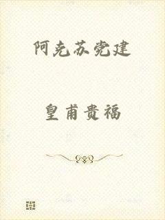 阿克苏党建
