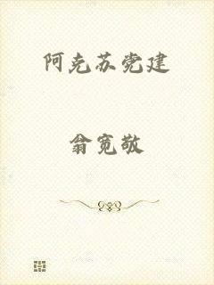 阿克苏党建