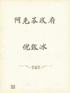 阿克苏政府
