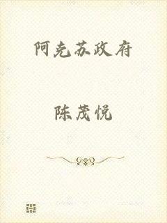 阿克苏政府