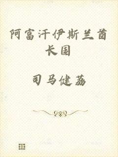 阿富汗伊斯兰酋长国