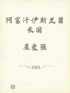 阿富汗伊斯兰酋长国