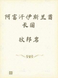 阿富汗伊斯兰酋长国