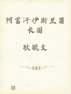 阿富汗伊斯兰酋长国