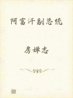 阿富汗副总统
