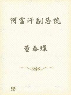 阿富汗副总统