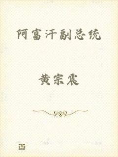 阿富汗副总统