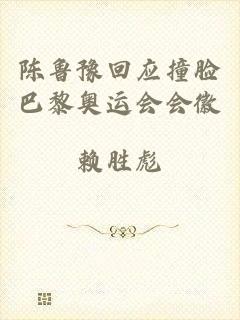 陈鲁豫回应撞脸巴黎奥运会会徽