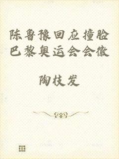 陈鲁豫回应撞脸巴黎奥运会会徽
