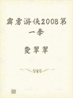 霹雳游侠2008第一季