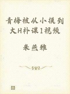 青梅被从小摸到大H补课1视频