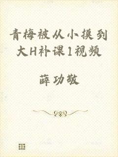 青梅被从小摸到大H补课1视频