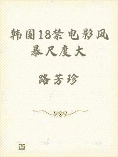 韩国18禁电影风暴尺度大
