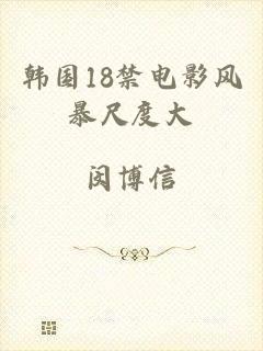 韩国18禁电影风暴尺度大