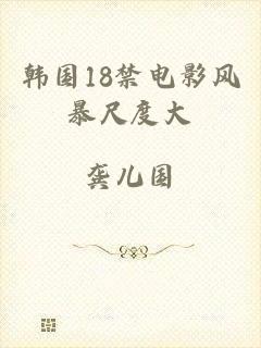 韩国18禁电影风暴尺度大