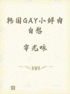 韩国GAY小鲜肉自慰