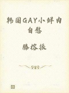 韩国GAY小鲜肉自慰