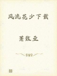 风流花少下载