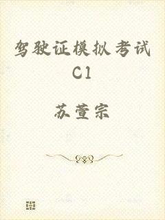 驾驶证模拟考试C1