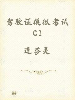 驾驶证模拟考试C1