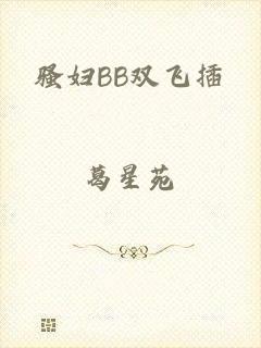 骚妇BB双飞插