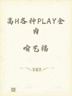 高H各种PLAY全肉