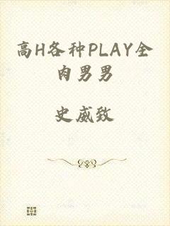 高H各种PLAY全肉男男