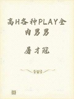 高H各种PLAY全肉男男