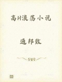 高H浪荡小说