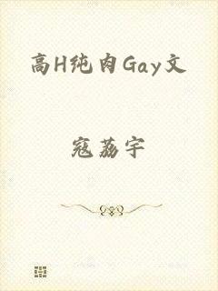 高H纯肉Gay文