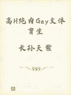 高H纯肉Gay文体育生