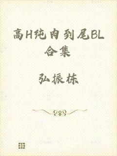 高H纯肉到尾BL合集