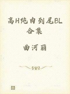 高H纯肉到尾BL合集