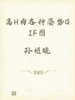 高H肉各种姿势GIF图