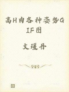 高H肉各种姿势GIF图