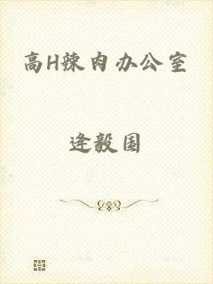 高H辣肉办公室