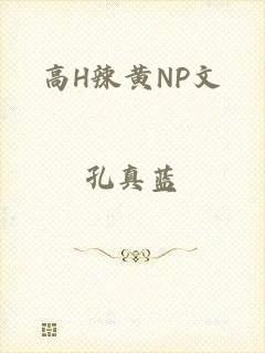 高H辣黄NP文