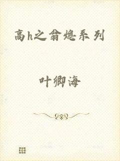高h之翁熄系列