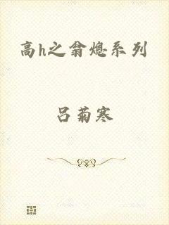 高h之翁熄系列