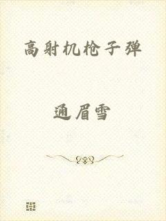 高射机枪子弹