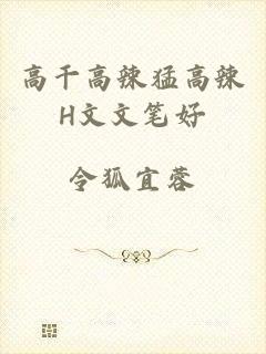 高干高辣猛高辣H文文笔好
