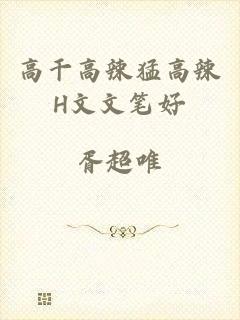 高干高辣猛高辣H文文笔好