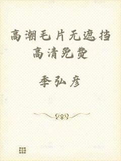 高潮毛片无遮挡高清免费