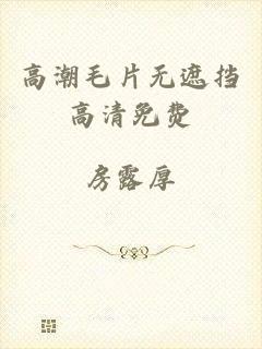 高潮毛片无遮挡高清免费