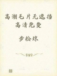 高潮毛片无遮挡高清免费