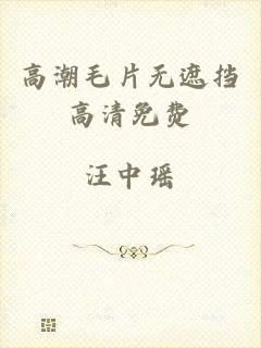 高潮毛片无遮挡高清免费