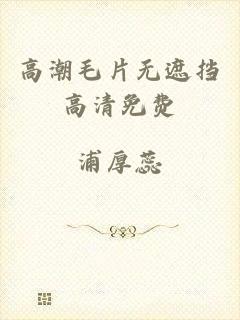 高潮毛片无遮挡高清免费