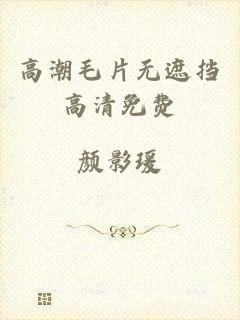 高潮毛片无遮挡高清免费